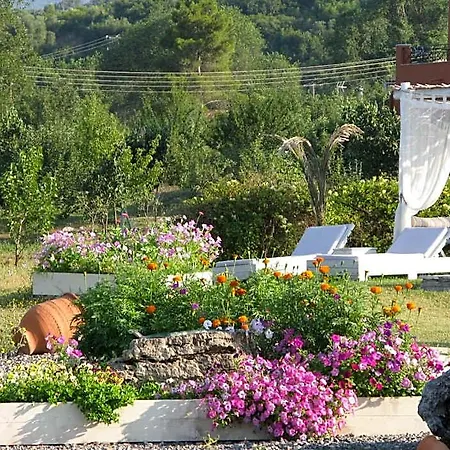 Hotel Pulades 3*